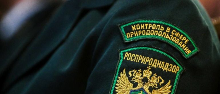 Как отправить документы в Росприроднадзор через Госуслуги
