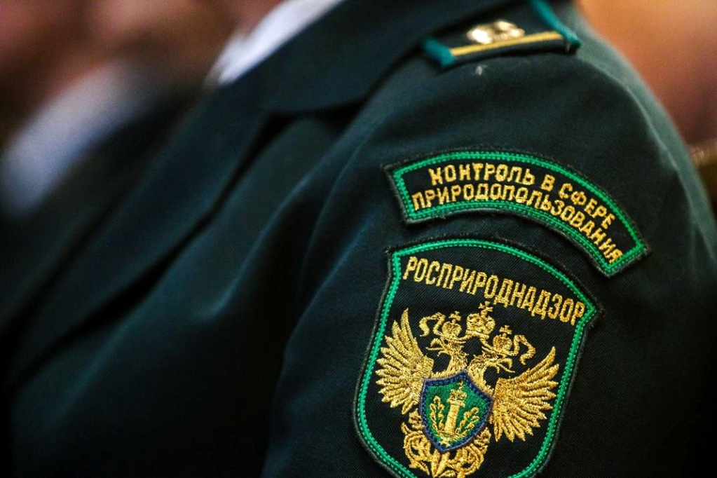 Как отправить документы в Росприроднадзор через Госуслуги